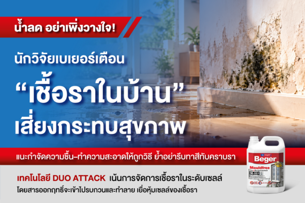 น้ำลด อย่าเพิ่งวางใจ! นักวิจัยเบเยอร์เตือน “เชื้อราในบ้าน” เสี่ยงกระทบสุขภาพ แนะกำจัดความชื้น–ทำความสะอาดให้ถูกวิธี ย้ำอย่ารีบทาสีทับคราบรา